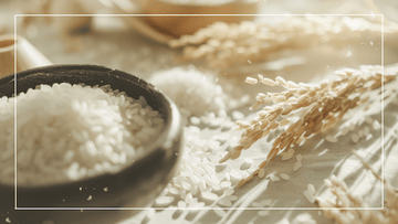 japonica rice header